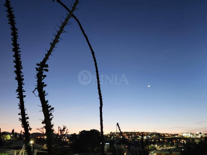 Lunes soleado; con máxima de 26 y mínima de 12 grados centígrados