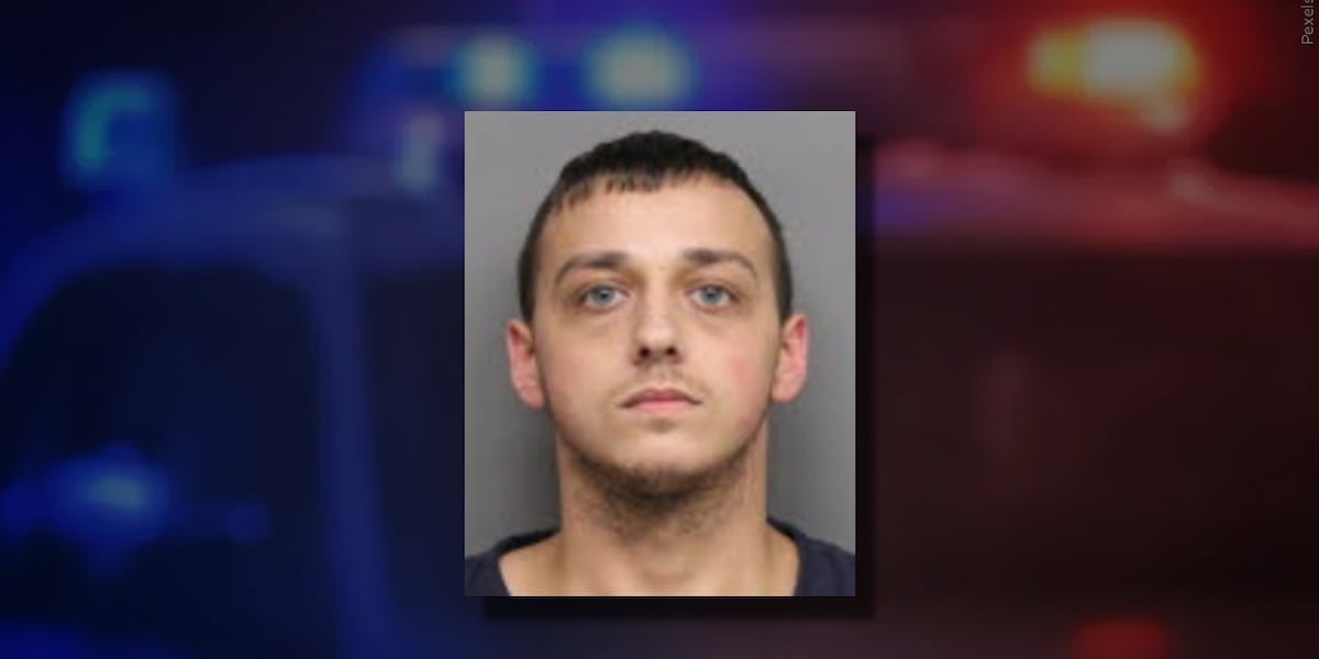 Man takes plea deal after severely beating 10