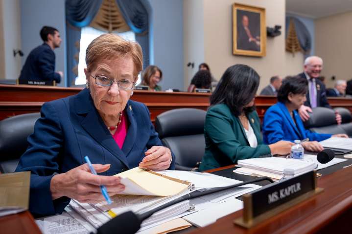 The Roll-Over-and-Play-Dead Party lets down Democrats, again: Thomas Suddes