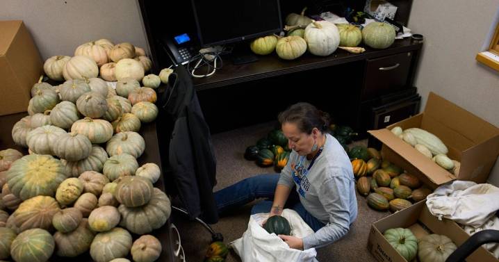 Tribal colleges face new financial strain