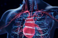 Heart Disease in Long-Term Cancer Survivors Linked to Usual CV Risk Factors