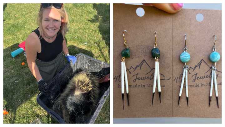 Montana Woman Plucks Her Own Quills From Porcupines To Make Unique Jewelry