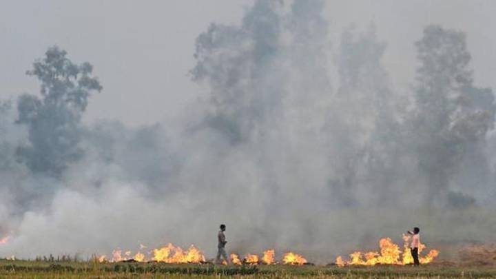 Supreme Court Cracks Down on Farm Fires: States Told to Enforce CAQM Orders or Face Consequences