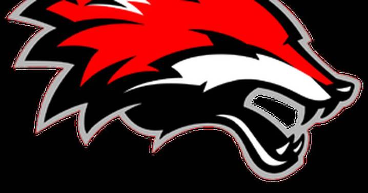 Yorkville boys wrestlers beat Lincoln