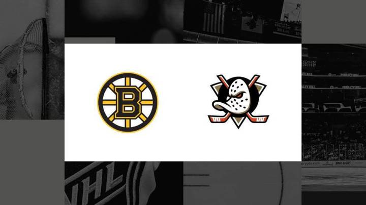 How to watch Bruins vs. Ducks: TV channel and streaming options for November 19
