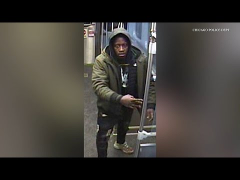 CPD searching for suspect who attacked, robbed woman on CTA Red Line