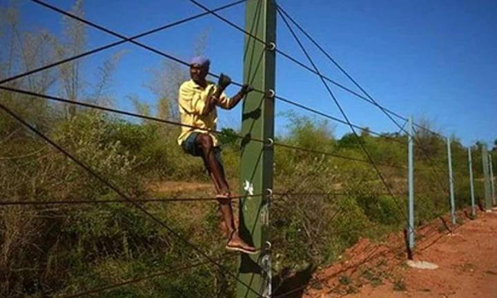 Steel wire fencing work begins in TN's Coimbatore to curb elephant intrusion