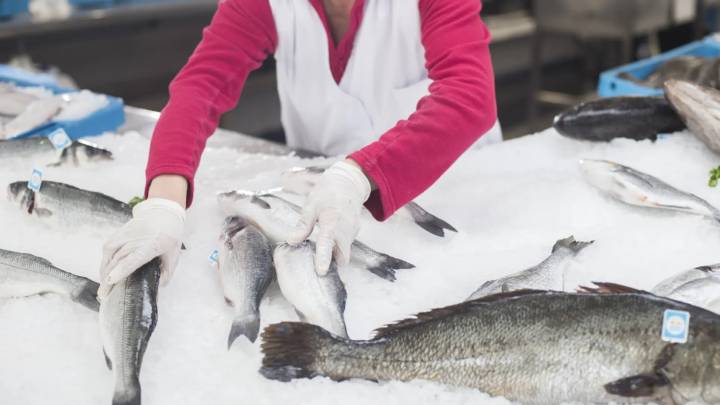 Catalunya alerta de que no habrá pescado para Navidad si no se dan más días extraordinarios de pesca