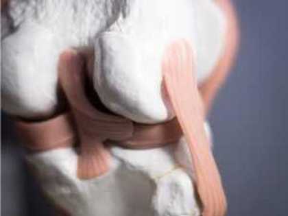 Zohran Mamdani elected mayor of New York City