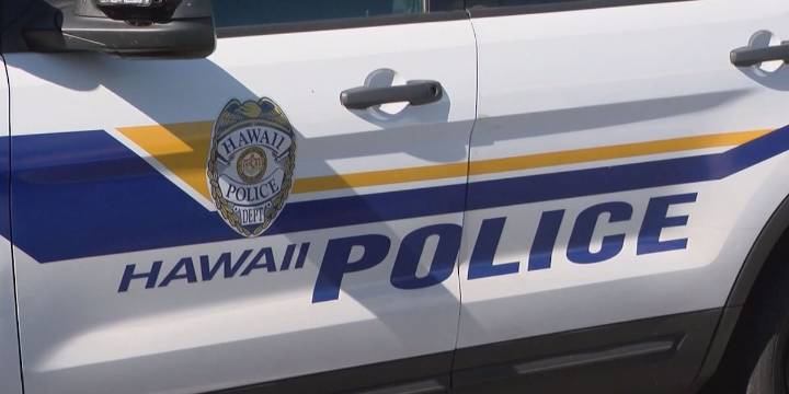 Hawaii Island police search for suspects in Halloween robbery