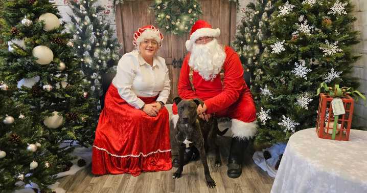 Snap festive pet photos with Santa in Newburgh before time runs out