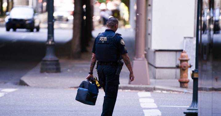 Council Cancels Meeting After Rift Over New Police Accountability Office