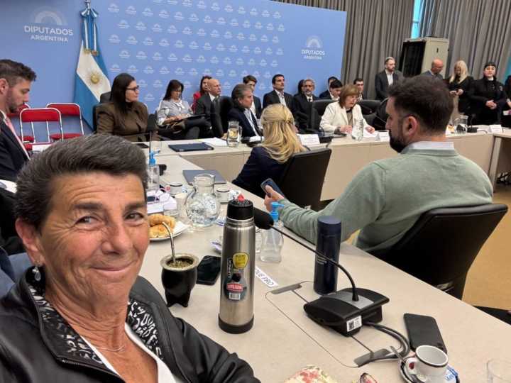 Una diputada que saltó del PRO a LLA cruzó a Macri por sus críticas a Milei: "Ya pasaste un límite"