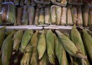 Prevén bajo impacto en Coahuila por paro nacional de maiceros