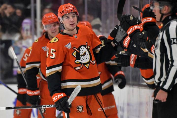 Ducks have a pair of lottery pick going opposite directions