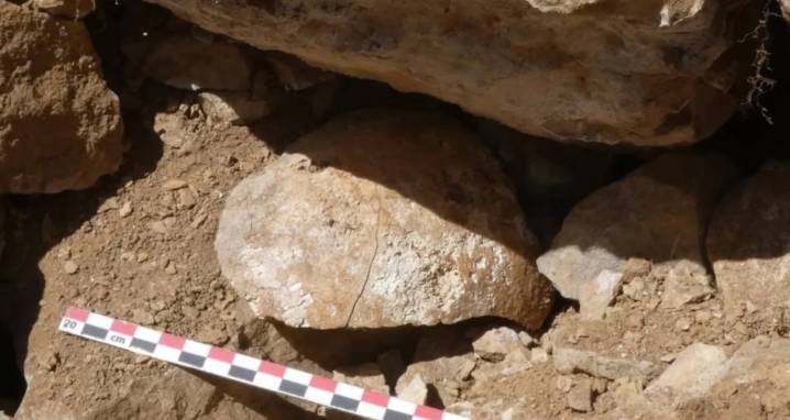 Skull Of Decapitated Celtic Warrior Found At Ancient Spanish Fort