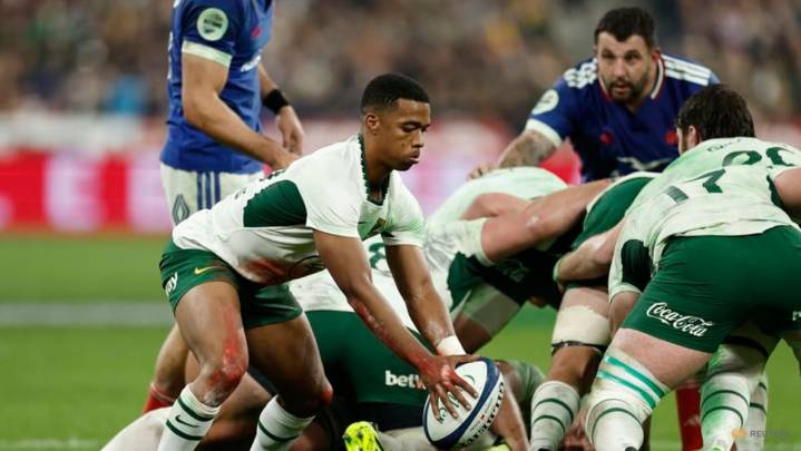 Fourteen-man South Africa dig deep to humble France