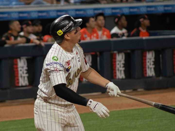 Harold Castro aportó para la doma de los Bengalíes