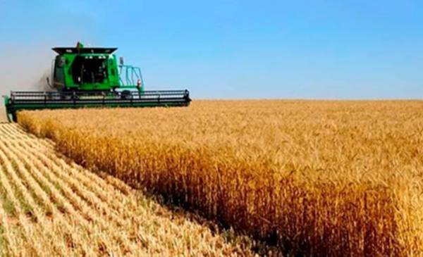 El sector agroexportador liquidó U$S 1.117 millones en octubre