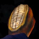 Inaugurado el Monumento al Cacao en la Av. Casanova Godoy