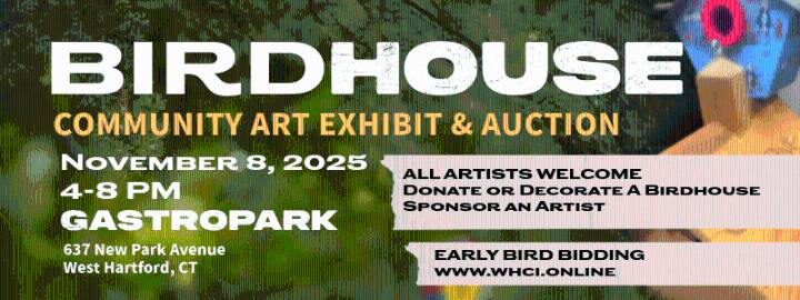 West Hartford Community Interactive Launches Community Birdhouse Art Exhibit & Auction