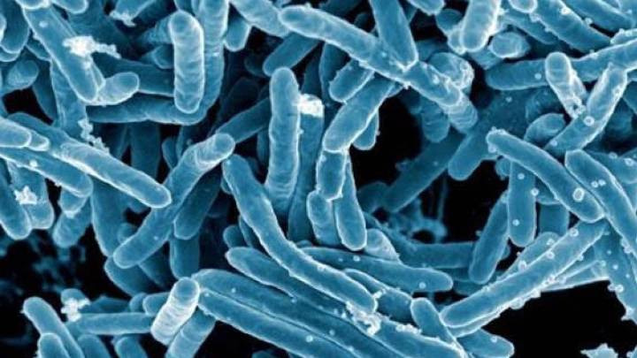 Los diagnósticos mundiales de tuberculosis alcanzan un nuevo récord