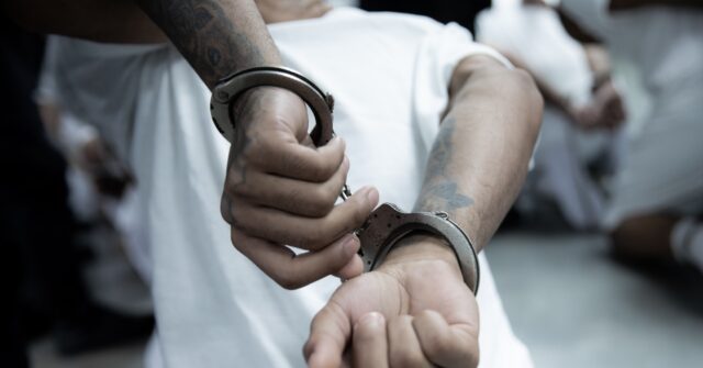 Spain Arrests 13 Suspected Tren de Aragua Gang Members