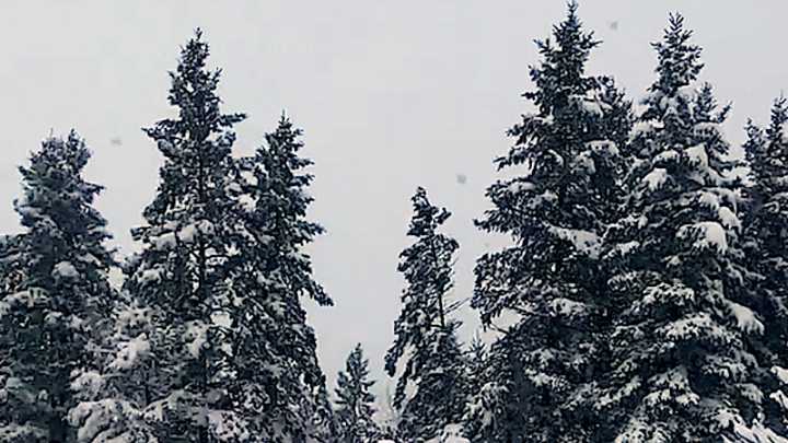 Trending Now Weather Videos