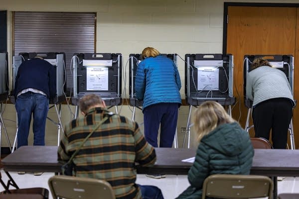 Build Your Ballot 2025: What will you be voting on?