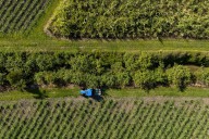Nature, carbon, nutrition: 3 ways farming can shift from climate culprit to solution