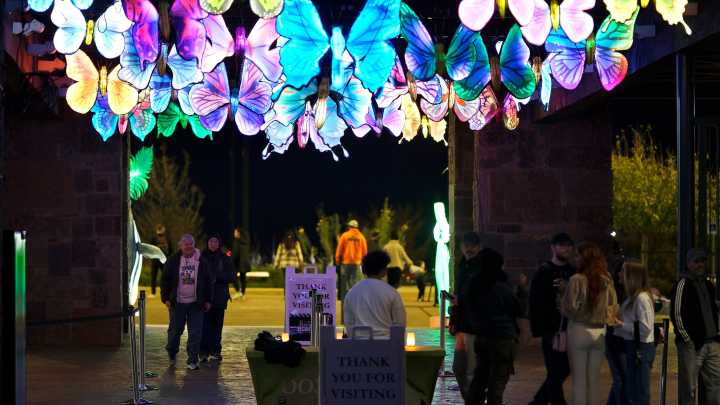 What to know as the OKC Zoo's Safari Lights attraction returns for 2025