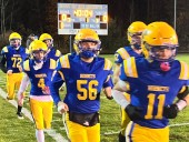 Bay City area playoff roundup: District titles not in cards for Harrison, USA