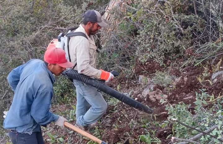 ¿Te interesan las labores de protección y conservación de los recursos naturales? Súmate a la Brigada Forestal de Amigos de la Sierra