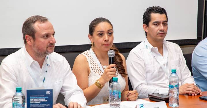 Sector minero va por el 40% de energías limpias para 2030