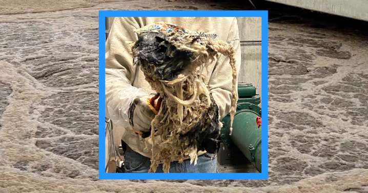 Stop flushing "flushable" wipes; Meridian wastewater crews remove blockages almost daily