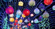 Chattanooga Zoo's Asian Lantern Festival reinvents, only facing minimal tariff impact