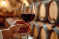Día del Vino Argentino: por qué las bodegas mendocinas conquistan al mundo