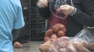 St. Louis moms struggle to feed their families as SNAP disruption drags on