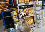 Maryland animal rescue groups prepare for more pet owners in need