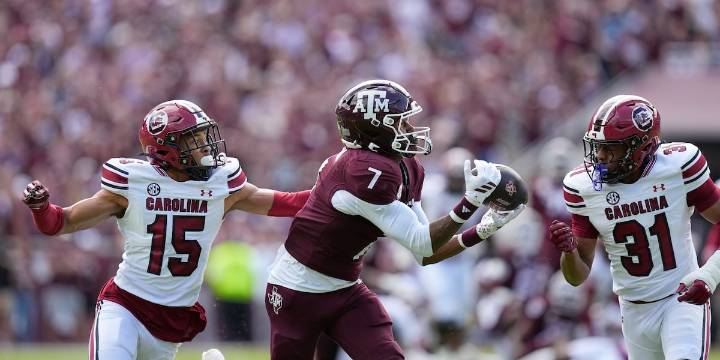 Texas DPS trooper relieved of game day duty after incident at Texas A&M