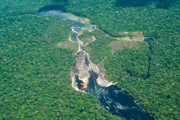 ‘Guardiana de Chiribiquete’: una nueva Zona de Reserva Campesina en Colombia