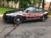 Dog shoots owner in the back after jumping on shotgun left on bed: Police