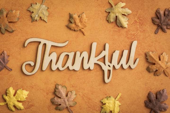 Column: Focus on gratitude during the holidays and always for happiness