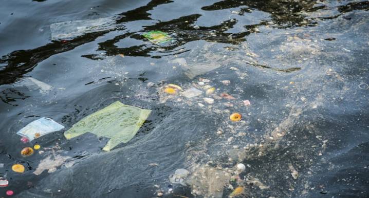 Cuidemos nuestro planeta