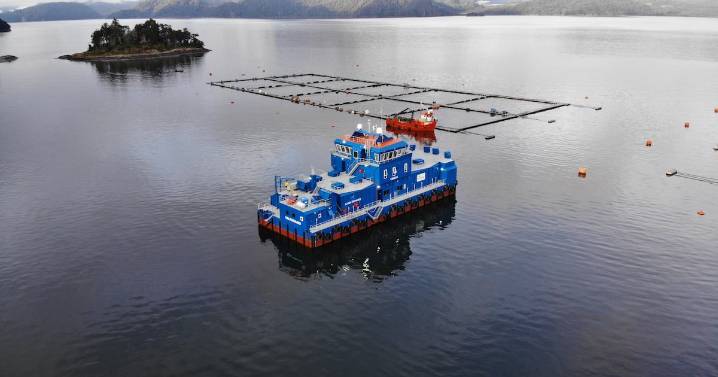 Blumar anota fuerte alza en ganancias al tercer trimestre por mayor volumen en venta de salmón