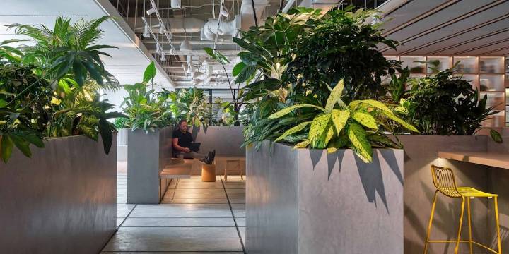 Arquitectura urbana en Nueva York prioriza el bienestar mental y físico