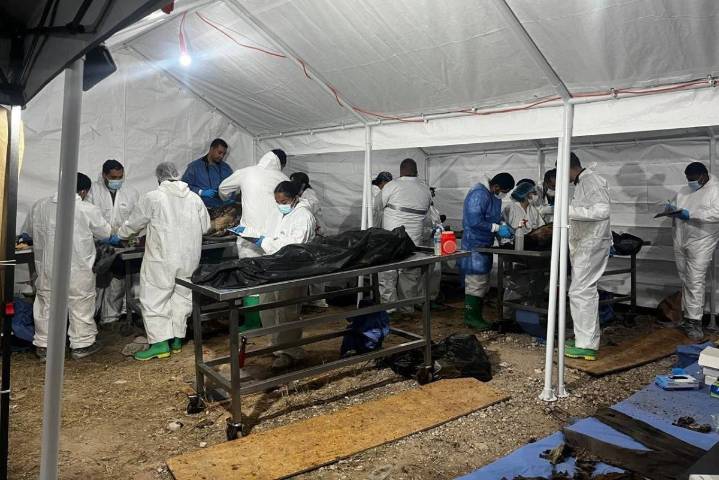 Caso Plenitud: suman 129 cuerpos identificados y 86 denuncias por fraude contra responsables