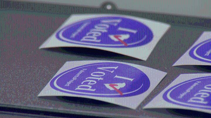 Dianne Mitchell wins SC House District 21 primary runoff