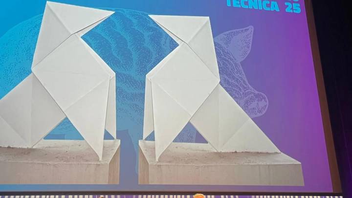 La labor fundamental de los veterinarios que impulsan al porcino