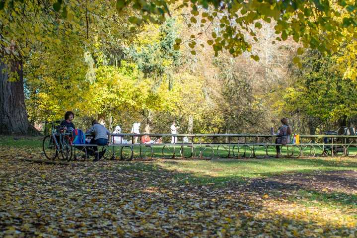 Election results: Portland voters approve parks levy, Washington County levies pass